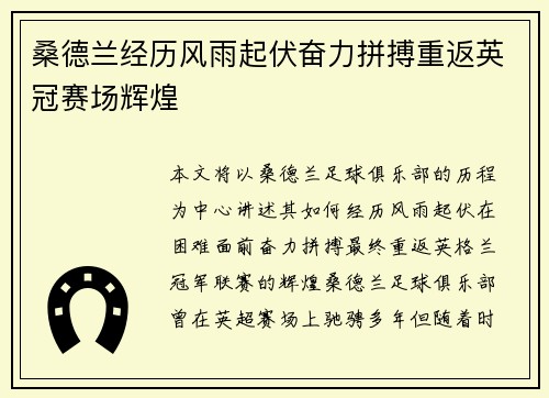 桑德兰经历风雨起伏奋力拼搏重返英冠赛场辉煌 桑德兰经历风雨起伏奋力拼搏重返英冠赛场辉煌